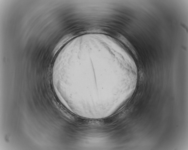 X0000102791002200809151121