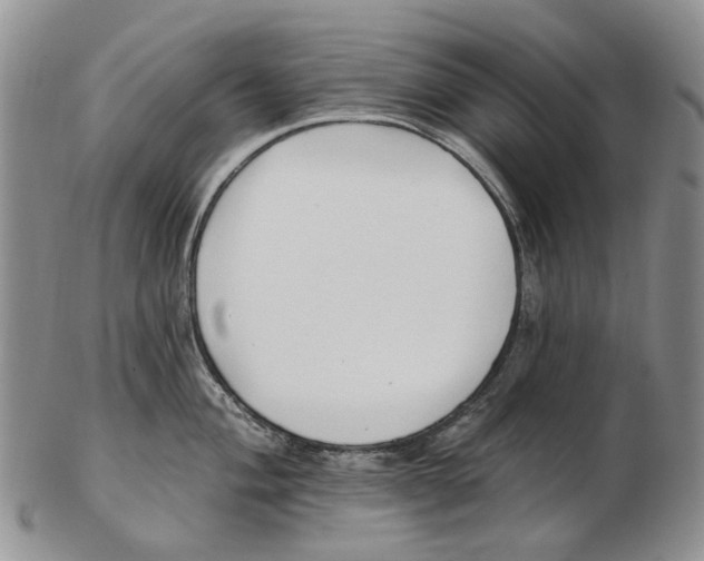 X0000102791004200809151121