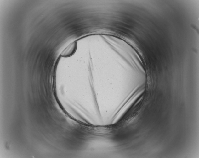 X0000102791007200809151121