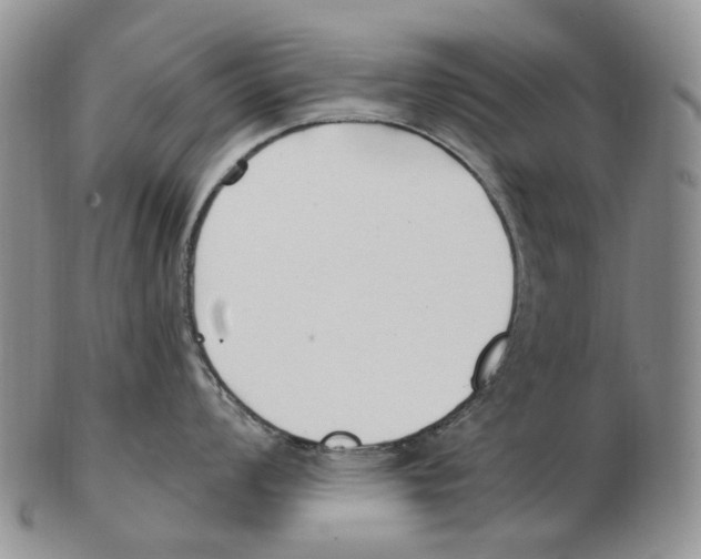 X0000102791008200809151121