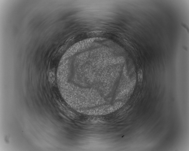 X0000102791011200809151120