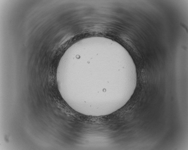 X0000102791015200809151120