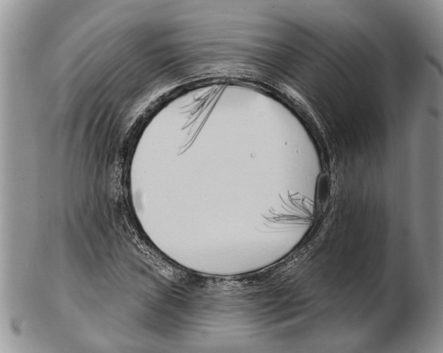 X0000102791019200809151120