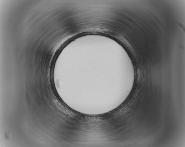 X0000102791020200809151120