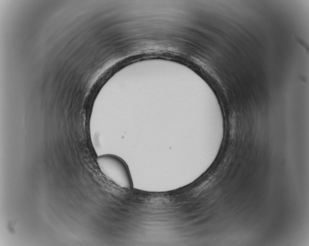 X0000102791021200809151120