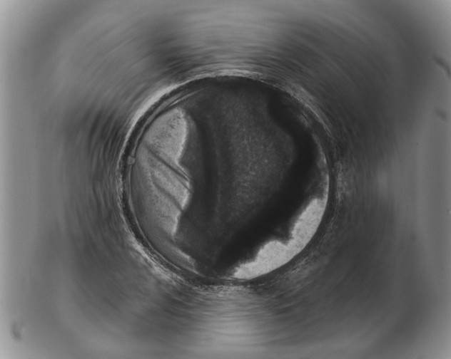 X0000102791024200809151120