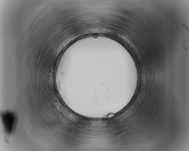 X0000102791025200809151120