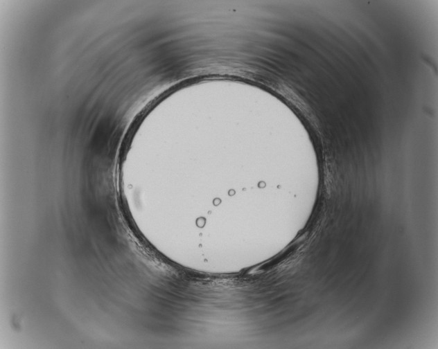 X0000102791028200809151120