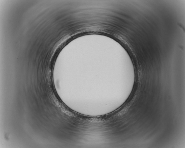 X0000102791029200809151120