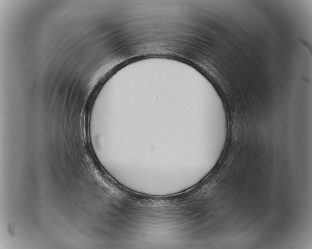 X0000102791030200809151120