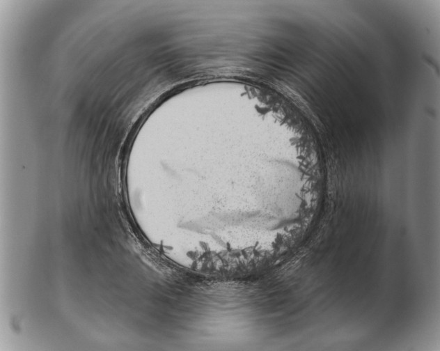 X0000102791031200809151120