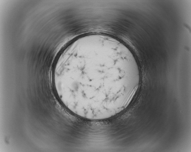 X0000102791032200809151121