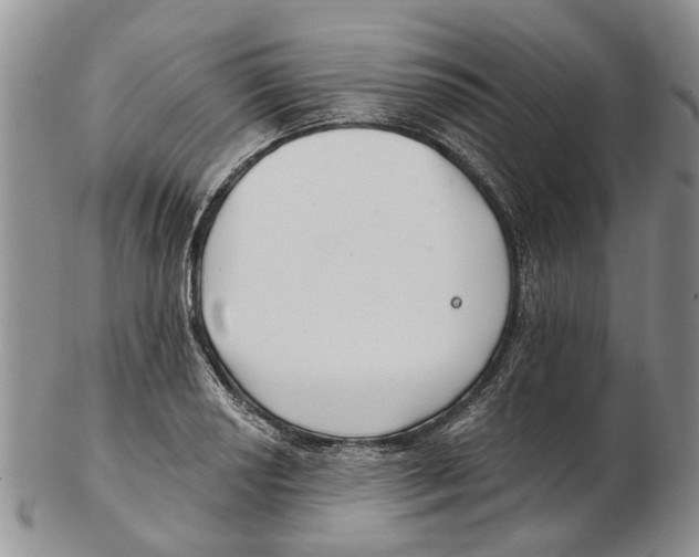 X0000102791034200809151121