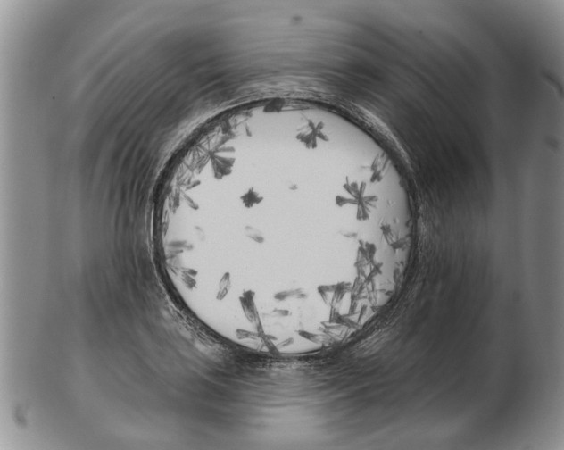 X0000102791035200809151121