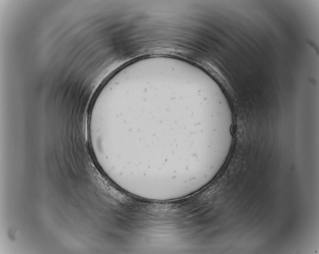 X0000102791036200809151121