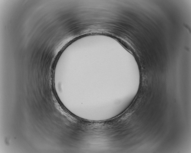 X0000102791038200809151121