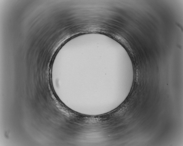 X0000102791039200809151121