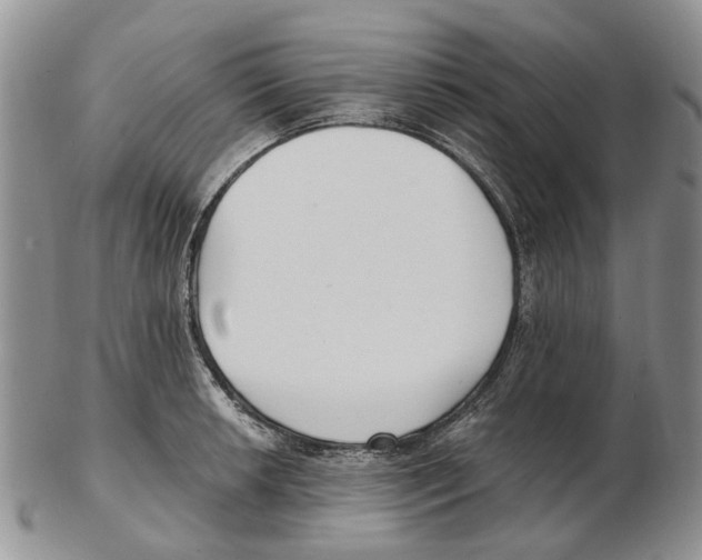 X0000102791042200809151121