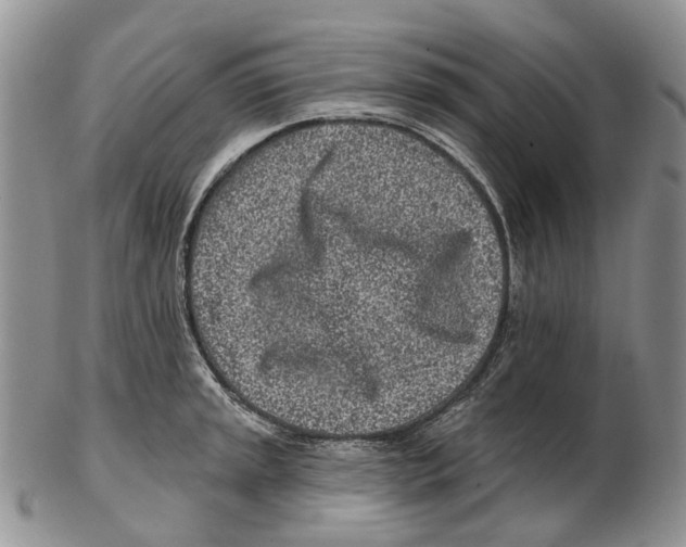 X0000102791045200809151121