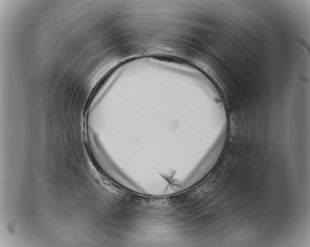 X0000102791047200809151121