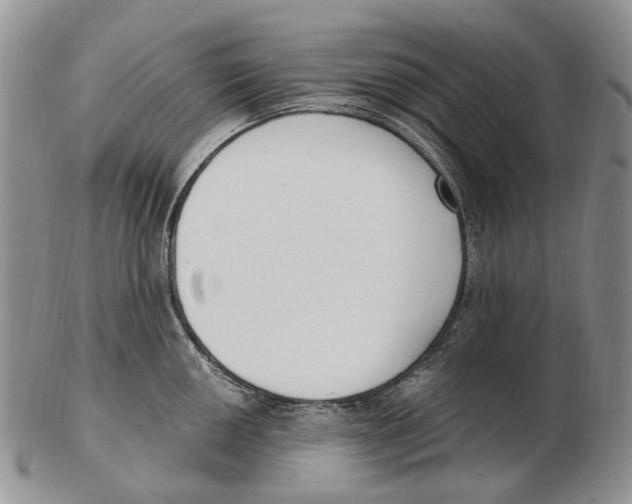 X0000102791050200809151121