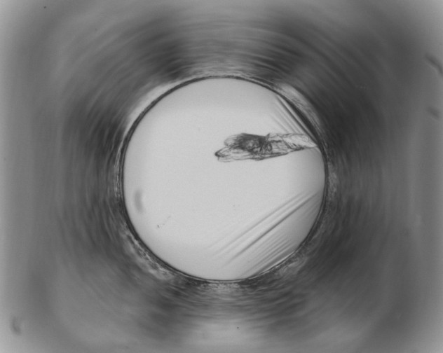 X0000102791052200809151121