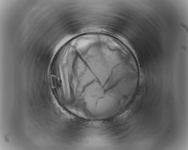 X0000102791053200809151121