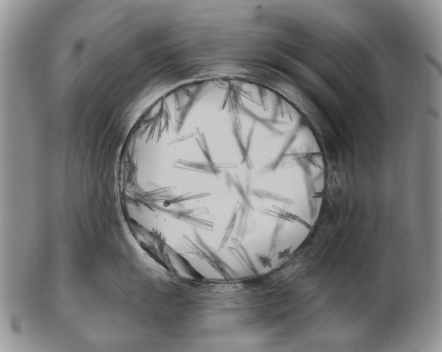 X0000102791055200809151121