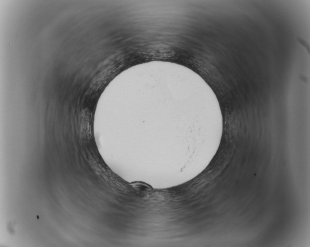 X0000102791058200809151120