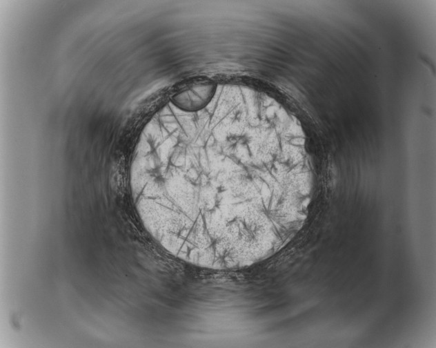 X0000102791063200809151120