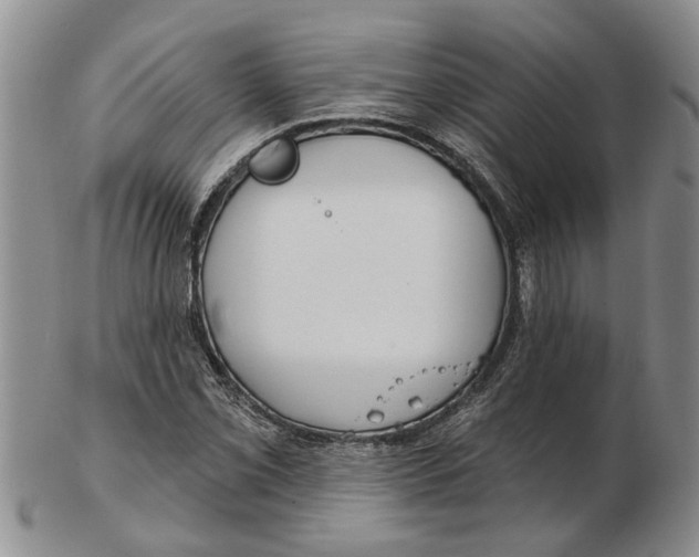 X0000102791069200809151120