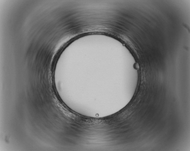 X0000102791072200809151120