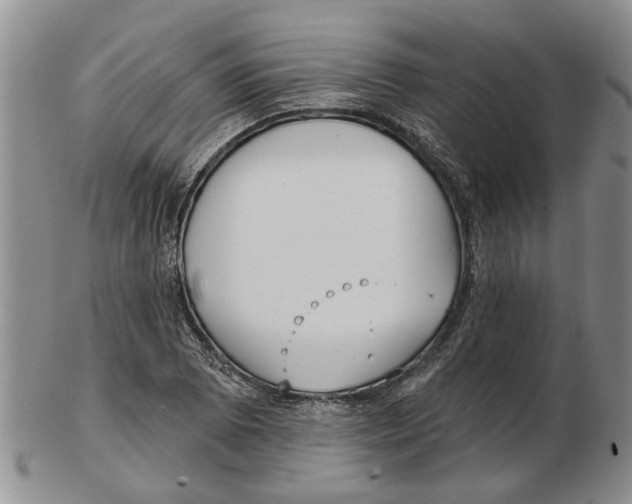 X0000102791073200809151120