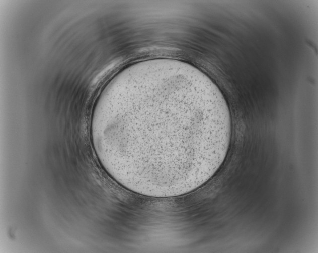 X0000102791074200809151120