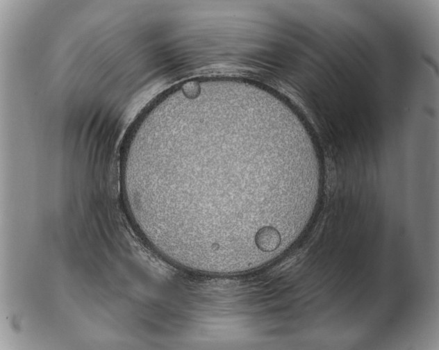 X0000102791075200809151120