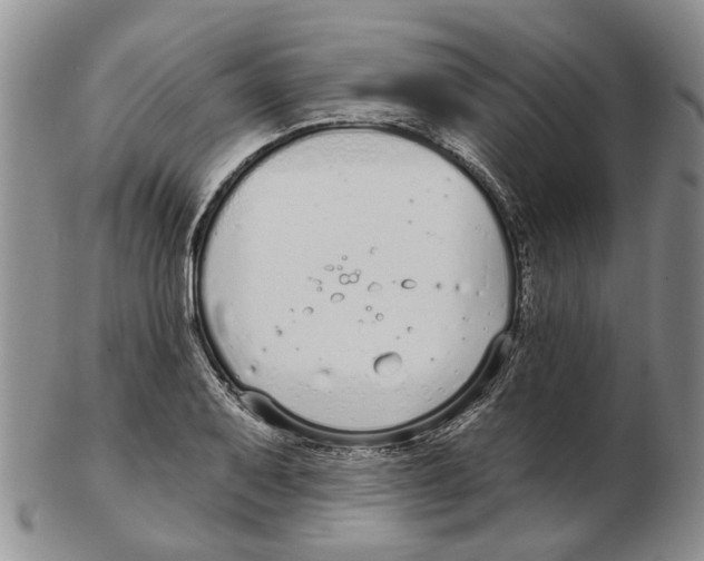 X0000102791079200809151120