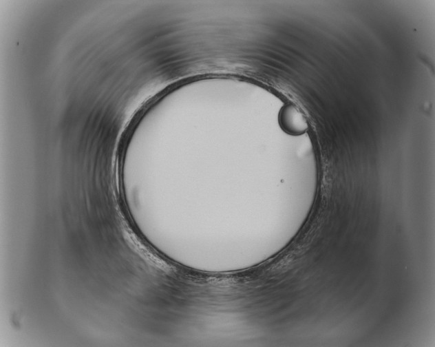 X0000102791080200809151120