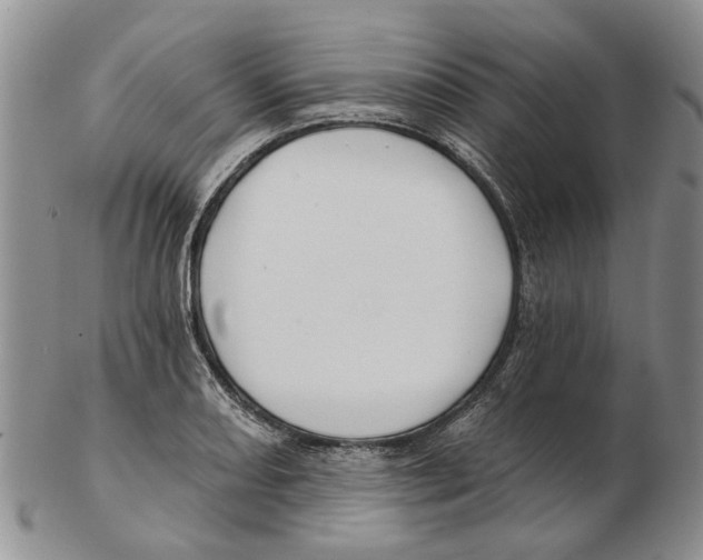 X0000102791082200809151120