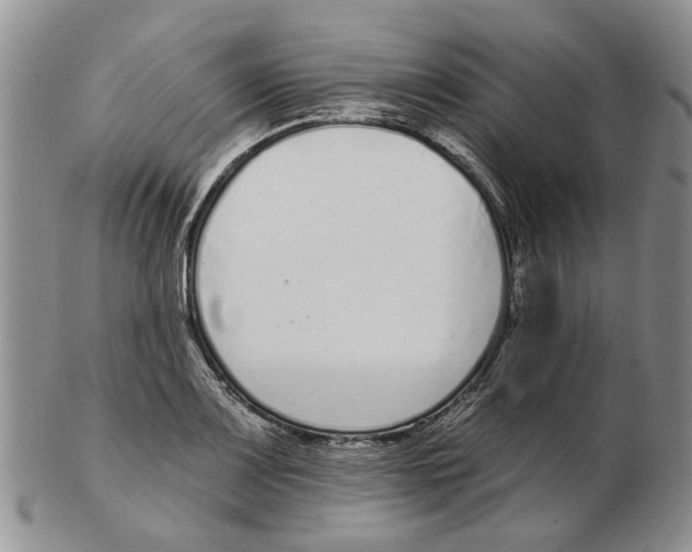 X0000102791083200809151120