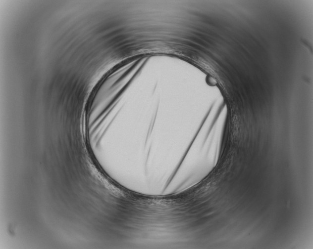 X0000102791084200809151120