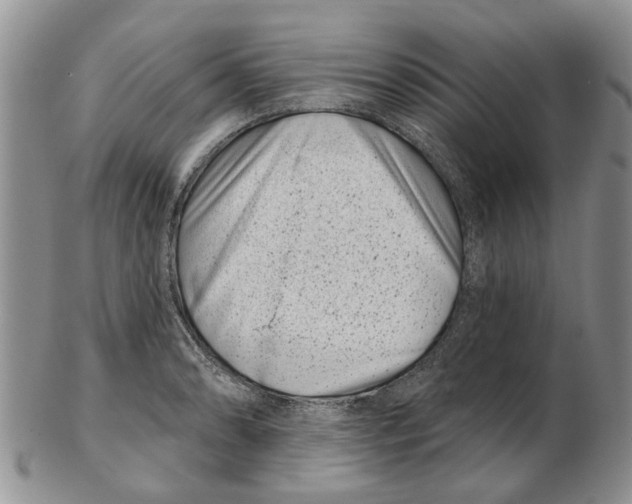 X0000102791086200809151120