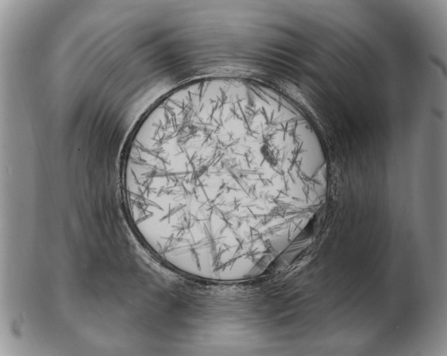 X0000102791087200809151120