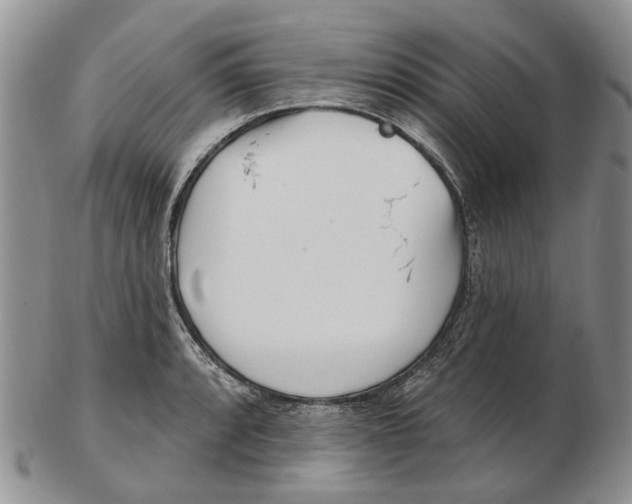 X0000102791088200809151120