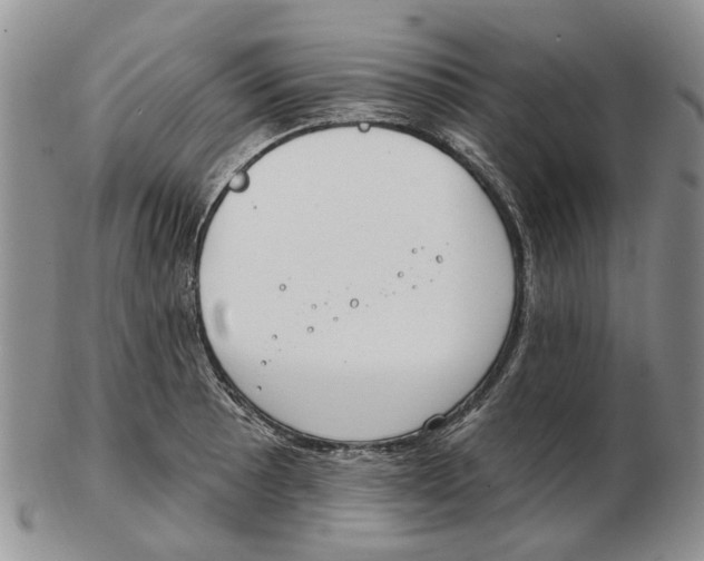 X0000102791089200809151120