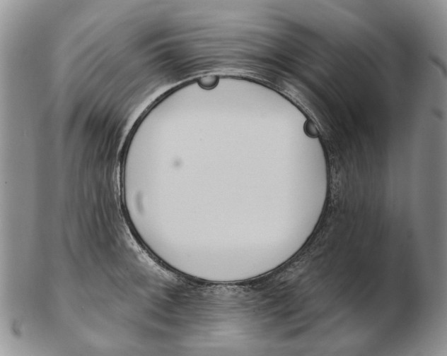 X0000102791092200809151120