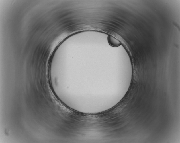 X0000102791096200809151119