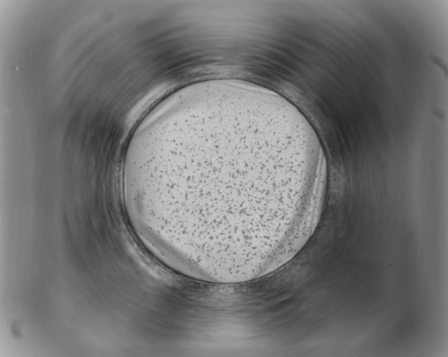 X0000102791098200809151119