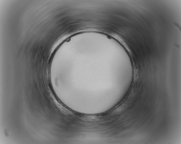 X0000102791101200809151119