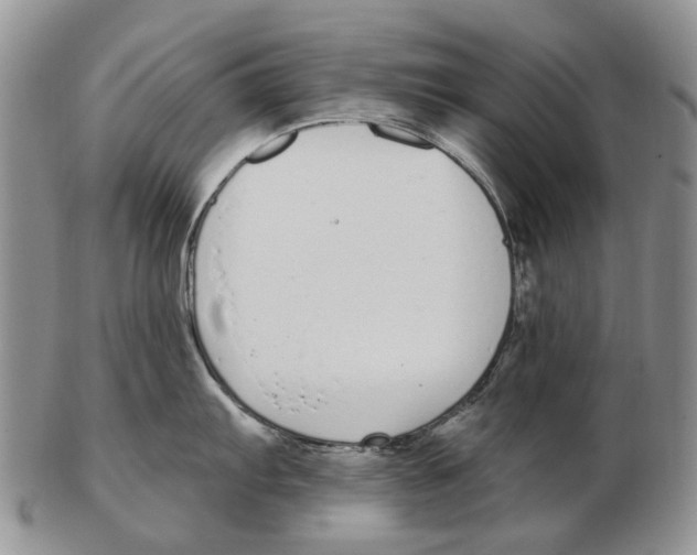 X0000102791103200809151119