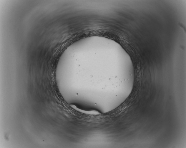 X0000102791109200809151119